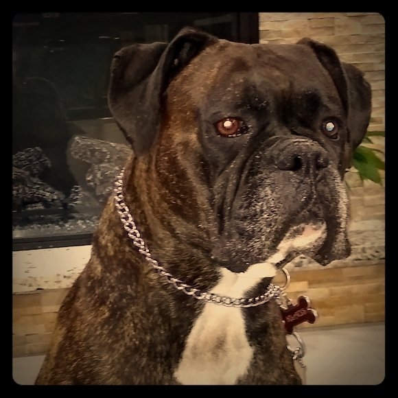 Meet your Posher, John - Picture 1 of 6